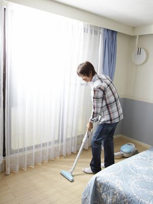 fenix miniについての説明